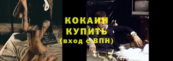 сатива Богородицк