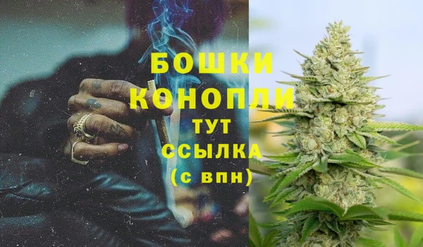 МДМА Белокуриха