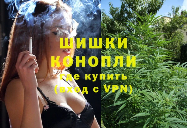 сатива Богородицк